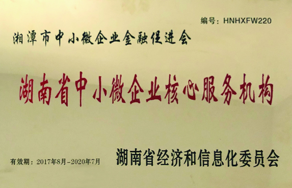 湖南省中小微企業(yè)核心服務(wù)機(jī)構(gòu)