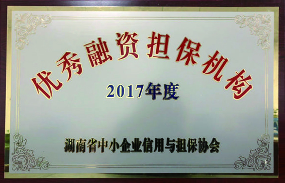 2017年度優(yōu)秀融資擔(dān)保機(jī)構(gòu)